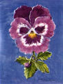 Pansy