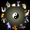 chinese astrology